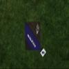 PICNIC TIME NFL Baltimore Ravens Impressa Picnic Blanket, Lightweight Beach Blanket, Machine Washable, Outdoor Blanket, (Black and Purple) view 3