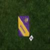 PICNIC TIME NFL Minnesota Vikings Impressa Picnic Blanket, Lightweight Beach Blanket, Machine Washable, Outdoor Blanket, (Purple and Yellow) view 3