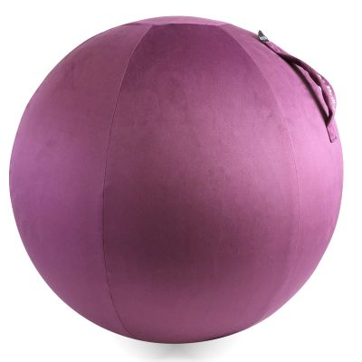 Howdy Bally Protective Cover for Home-Use Yoga/Exercise/Balance Ball with Convenient Carry Handles - Foldable, Durable Anti-Burst Cover for Sitting Ball Chair, Office Use - 55cm