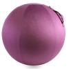 Howdy Bally Protective Cover for Home-Use Yoga/Exercise/Balance Ball with Convenient Carry Handles - Foldable, Durable Anti-Burst Cover for Sitting Ball Chair, Office Use - 55cm view 1