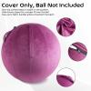 Howdy Bally Protective Cover for Home-Use Yoga/Exercise/Balance Ball with Convenient Carry Handles - Foldable, Durable Anti-Burst Cover for Sitting Ball Chair, Office Use - 55cm view 3