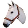 BlazingPaws Vibrania Adjustable Padded Leather Horse Halter in Tan/Brown Two Tone Super Soft Premium Distressed Leather with Solid Brass Hardware (Full Size, Tan) view 2