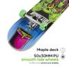 Tony Hawk 31" Skateboard - Signature Series 1 Skateboard with Pro Trucks, Full Grip Tape, 9-Ply Maple Deck, Ideal for All Experience Levels view 4