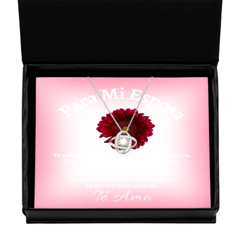 Regalo de San Valentine - para mi esposa Desde el Primer Momento en que te vi, joyeria para enamoradas - Amor Collar de Plata