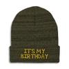 Speedy Pros Beanies for Men It's My Birthday Gold Embroidery Skull Cap Winter Hats for Women Acrylic One Size Heather Olive Green Design Only view 1