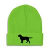Speedy Pros Beanies for Men Black Labrador Retriever Lab Embroidery Skull Cap Winter Hats for Women Acrylic One Size Lime Design Only view 1