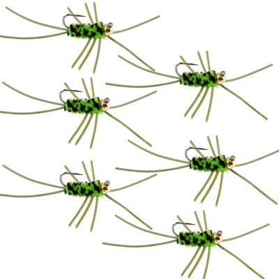 The Fly Fishing Place Tungsten Bead Jigged Pat's Rubber Legs Nymph Fly Fishing Flies - Chartreuse and Black with Olive Legs - Trout and Bass Wet Fly Pattern - 6 Flies Hook Size 10