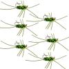 The Fly Fishing Place Tungsten Bead Jigged Pat's Rubber Legs Nymph Fly Fishing Flies - Chartreuse and Black with Olive Legs - Trout and Bass Wet Fly Pattern - 6 Flies Hook Size 10 view 1