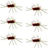 The Fly Fishing Place Tungsten Bead Jigged Pat's Rubber Legs Nymph Fly Fishing Flies - Brown with Olive Legs - Trout and Bass Wet Fly Pattern - 6 Flies Hook Size 10 view 1