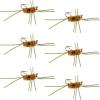 The Fly Fishing Place Tungsten Bead Jigged Pat's Rubber Legs Nymph Fly Fishing Flies - Coffee and Tan with Olive Legs - Trout and Bass Wet Fly Pattern - 6 Flies Hook Size 10 view 1