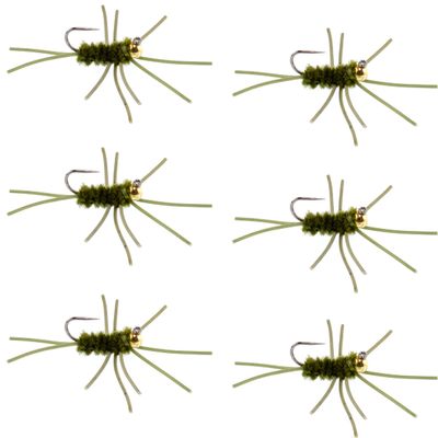 The Fly Fishing Place Tungsten Bead Jigged Pat's Rubber Legs Nymph Fly Fishing Flies - Dark Olive with Olive Legs - Trout and Bass Wet Fly Pattern - 6 Flies Hook Size 10