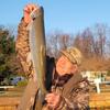 Kodiak Trout Kandy Minnow Strips Glitter view 4