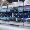 PONTOON BOAT SOLUTIONS, Pontoon Boat Wide Ski Solution with Storage Rack view 2