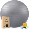 sainio Gym Ball for Exercise Anti Burst Exercise Ball with Foot Pump for Workout Yoga view 1
