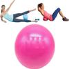 sainio Mini Home Swiss Yoga Fitness Physiotherapy Physio Massage Exercise Gym Ball view 1