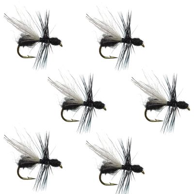 The Fly Fishing Place Flying Black Ant Terrestrial Trout Dry Fly Fishing Flies - Set of 6 Flies Size 14
