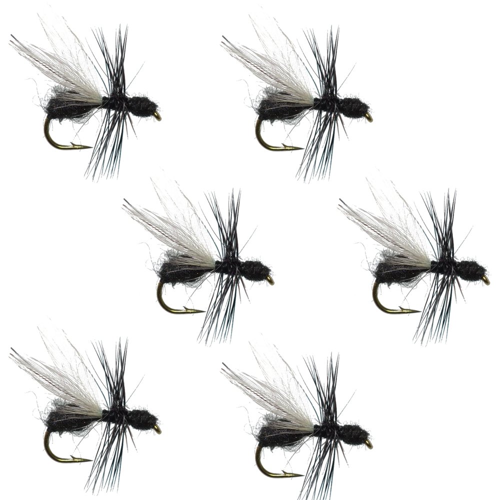 The Fly Fishing Place Flying Black Ant Terrestrial Trout Dry Fly Fishing Flies - Set of 6 Flies Size 14