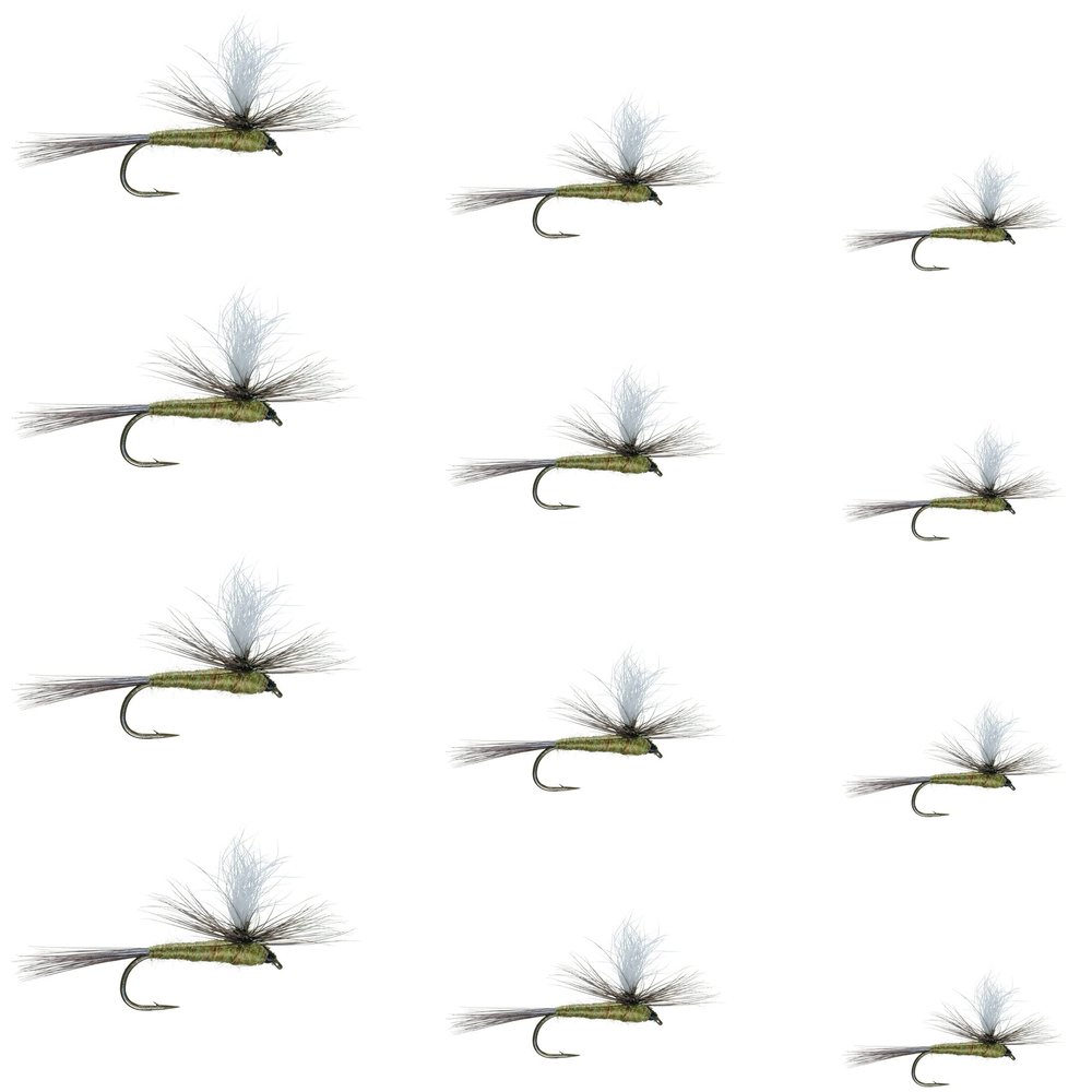 The Fly Fishing Place Parachute Blue Winged Olive BWO Assortment Trout Dry Fly Fishing Flies - Set of 12 Flies Size 14, 16, 18, 20 - One Dozen