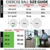 sainio PVC Gym Ball, Size 55 CM, (Purple) view 2