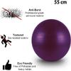 sainio PVC Gym Ball, Size 55 CM, (Purple) view 4