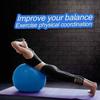 sainio Anti-Slip Balance Stability Ball Exercise Gym Ball with Pump (Multicolour) view 2