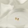 14K Solid Gold Lady Bug Small Stud Earrings - Gold Butterfly Backings Closure Model_X_Fashion-315 view 2