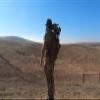 Peak Predator Crawl Carrier V8 Bow Pack view 4