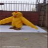 FurryMascot Yellow Chicken Bird Waver Custom Mascot Costume Party Carnival Mascotte Costumes S M L XL XXL view 1