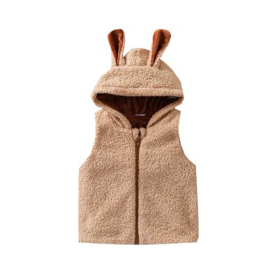 Baby Boys Girls Hooded Vest Warm Sleeveless Coat Soft Fleece Vests Cute Thick Soft Clothes Winter (A, 18-24 Months)