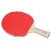 Nittaku NH5153 Table Tennis Racket, Adhesion, Thickness: Medium, J.T.A.A JOBG Shake 1300 view 2