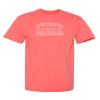 Defense Unsupervised Shirt Graphic Novelty Sarcastic Funny Tshirt M Coral view 1
