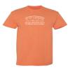 Defense Unsupervised Shirt Graphic Novelty Sarcastic Funny Tshirt L Sunset view 1