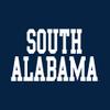 AL01 - South Alabama Jaguars Basic Block Long Sleeve T Shirt - 3X-Large - Navy view 3