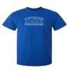 Defense Unsupervised Shirt Graphic Novelty Sarcastic Funny Tshirt L Royal view 1