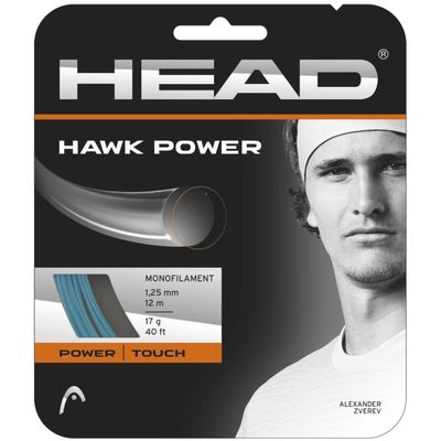HEAD Hawk Power Tennis Racket String 40' Set - 17 Gauge Monofilament Racquet String, Petrol