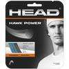 HEAD Hawk Power Tennis Racket String 40' Set - 17 Gauge Monofilament Racquet String, Petrol view 1