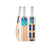 SS DK 19 Jumbo Kashmir Willow Cricket Scoop Bat -SH view 1