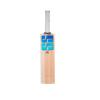 SS DK 19 Jumbo Kashmir Willow Cricket Scoop Bat -SH view 4