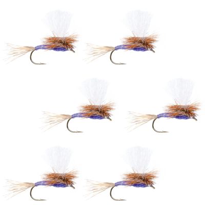 The Fly Fishing Place Parachute Purple Haze Classic Trout Dry Fly Fishing Flies - Set of 6 Flies Size 14