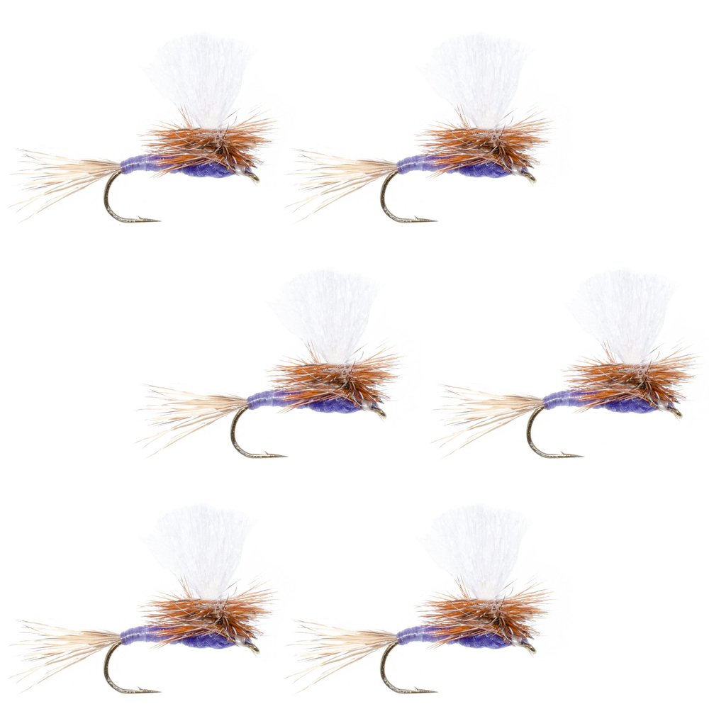 The Fly Fishing Place Parachute Purple Haze Classic Trout Dry Fly Fishing Flies - Set of 6 Flies Size 14