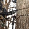THUNDERBAY Hunting Safety Linemans Rope 30ft, 3-Pack, Rope-Style Tree Strap for Tree-Stand Hunting and Climbing view 3