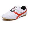 MSMAX Martial Arts Shoes Kids Kung Fu Tai Chi Sneakers Women Taekwondo Boxing Shoes for Men,2 M US Little Kid White view 1