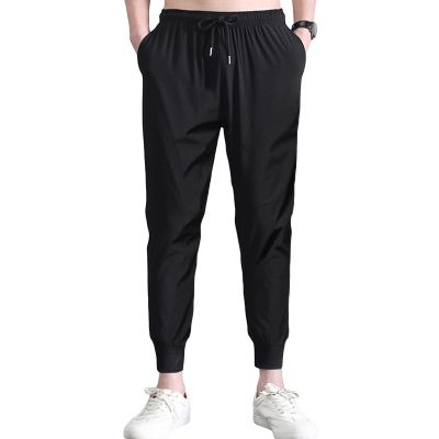 JEsilunmaMY Lightweight Sweatpant for Men Elastic Waist Ice Silk Stretch Jogger Pants Athletic Workout Summer Lounge Pants (Black2,X-Large)
