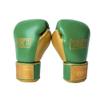 Corbetti CTG-003-10 (Green, 10 oz) Muay Thai Boxing Gloves for Men and Women, Featuring Double Stitched Kevlar and Full Grain Leather, Designed for Training, Sparring, pad Work, and Heavy Bag. view 2