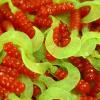 2" Red/Chartreuse Hot Grubs Twister Tails Crappie Walleye Bass Fishing Lures 100 Pack view 1