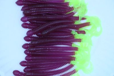 4" Purple/Chartreuse Disc Ring Worms Soft Plastic Worms Walleye Bass Fishing 50 Pack