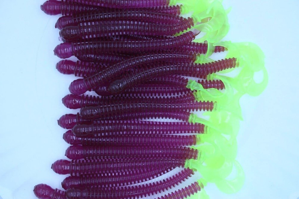 4" Purple/Chartreuse Disc Ring Worms Soft Plastic Worms Walleye Bass Fishing 50 Pack