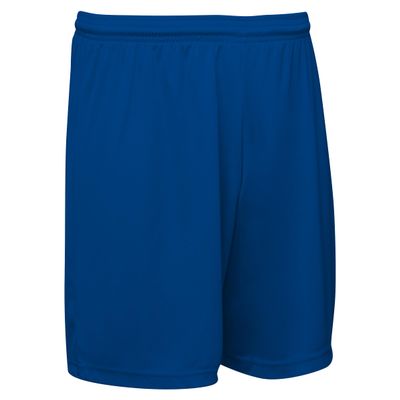 CHAMPRO Victorious Basketball Shorts 9" Inseam, Adult X-Large Royal