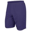 Dynamic Tricot Mesh Shorts, 9" Inseam, Adult Small, Purple view 2