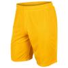 Dynamic Tricot Mesh Shorts, 9" Inseam, Adult Large, Gold view 1